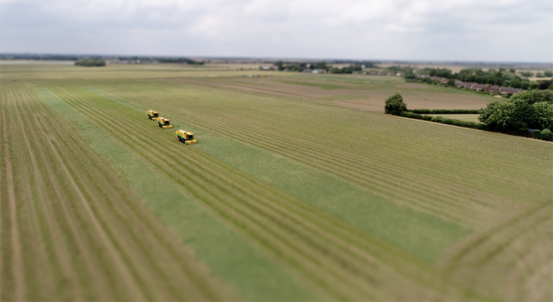 Beautiful drone photo of pea farming machinery harvesting peas