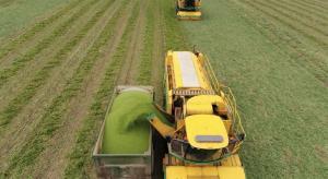 Tractor in King's Lynn field, filming their Pea video